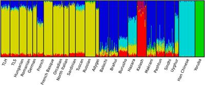 Genome-Wide Marker Data-Based Comparative Population Analysis of Szeklers From Korond, Transylvania, and From Transylvania Living Non-Szekler Hungarians